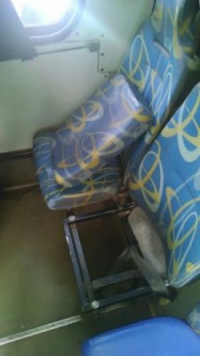 FISCALIZAÇÃO ÔNIBUS