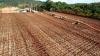 OBRAS DE ASFALTAMENTO DO RODOANEL DE TERESINA - MAIO/2016