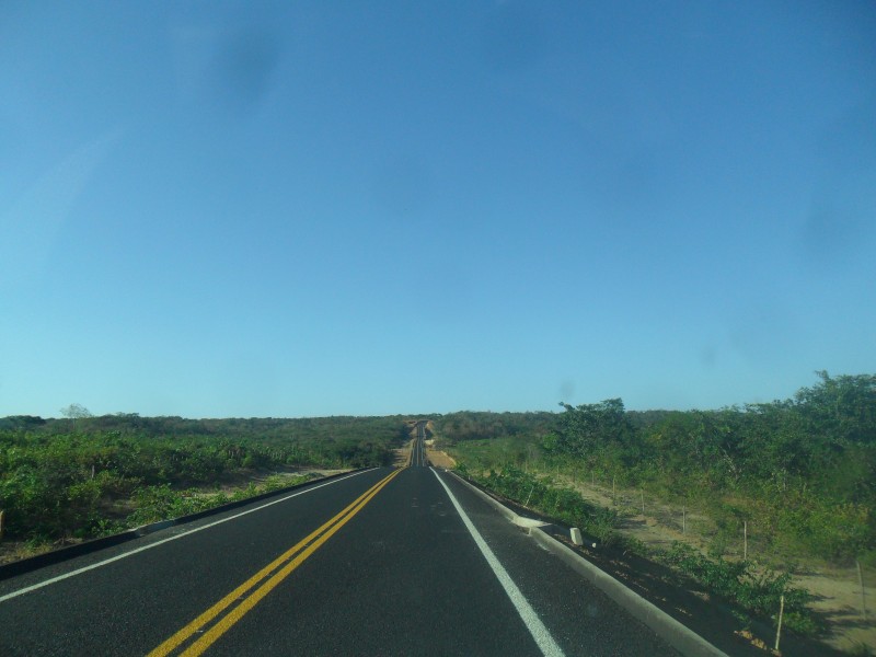 Rodoanel de Regenerao